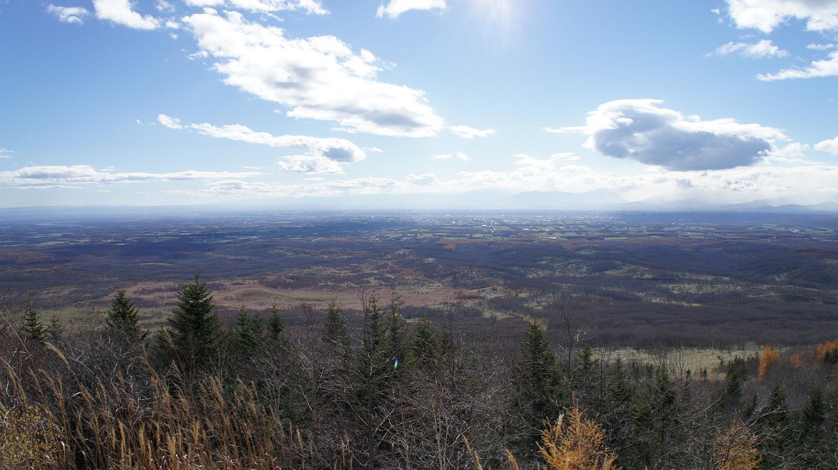 🏞️ 부채 들판 전망대(오기가하라 텐보우다이) 이미지 6
